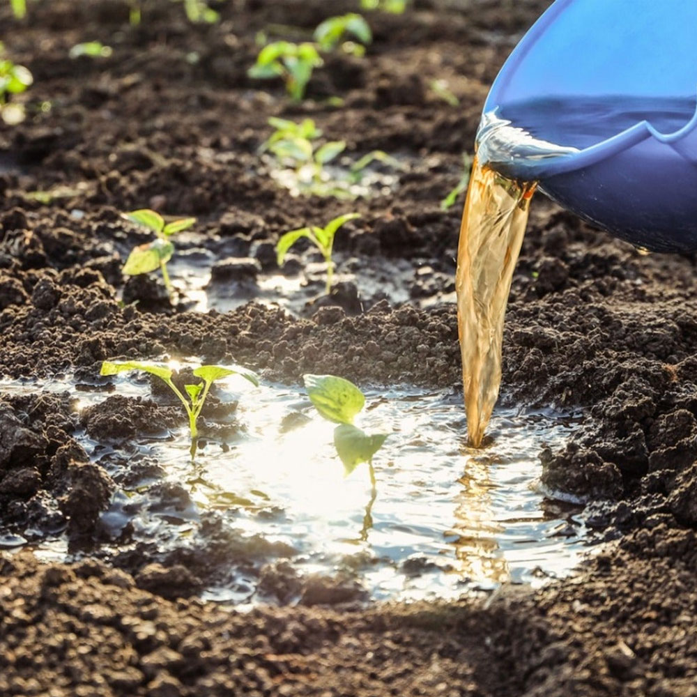 Fertilizer